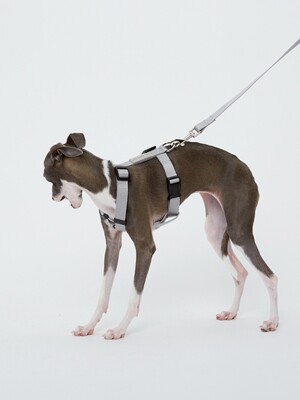 H-Type Harness Grey