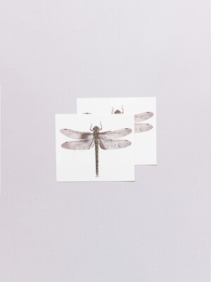 Dragonfly Pairs 타투 스티커