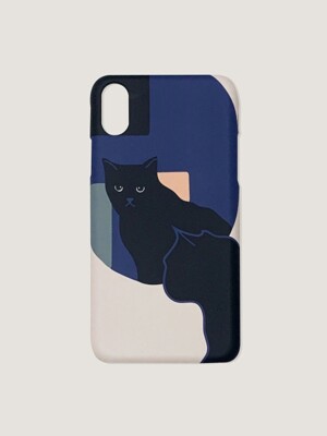 kitty in the mirror phone case - hard