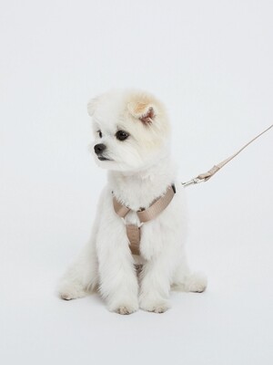 H-Type Harness Beige