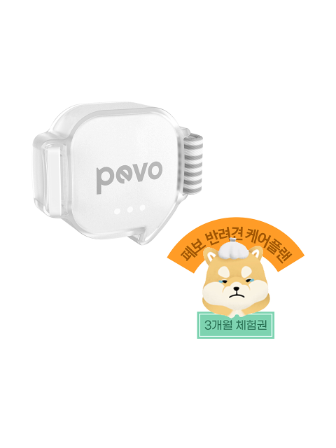 반려동물,반려동물 - 디지털아이티스토어 ( Digital IT store) - [KT] 페보팩 PevoPro 웨어러블+반려견 케어플랜 3개월권
