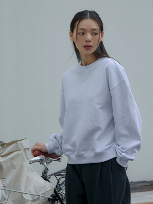 Signature sweatshirt (light grey)