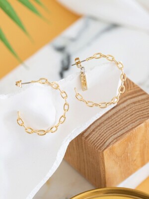 Medium chain round earrings