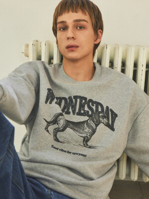 Ugly Dachshund Sweatshirt_Gray(W25-TP02)