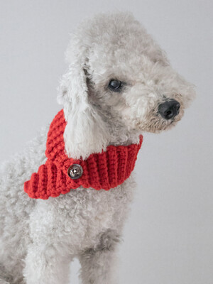 Wool blend knit muffler for my Dog (4colors)