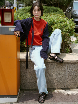 1041 MICHAEL-BLACK (미카엘)