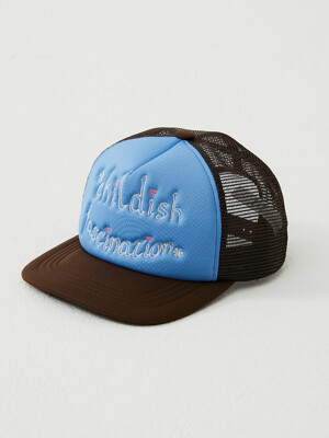 childish fascination mesh cap (brown)