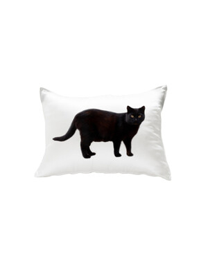 black cat pillow cover