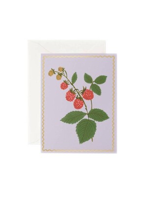 라이플페이퍼 Raspberry Card 일상 카드