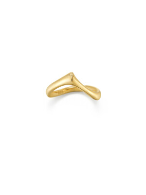 Wave042Ring