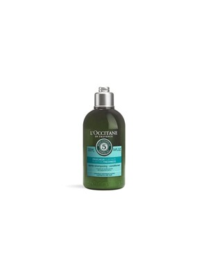 퓨리파잉 프레쉬니스 컨디셔너 250ml New