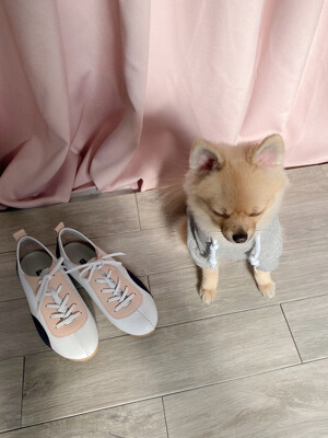 dot pattern sneakers_wcp20s_n