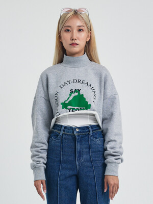 Turtle Neck Cropped Sweatshirt Melange Gray