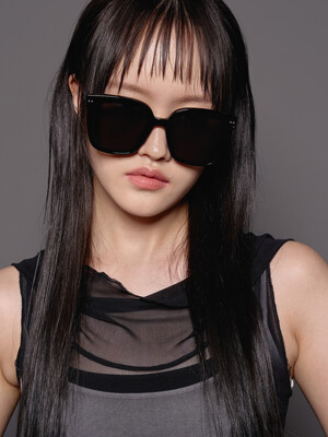 EF49 SUNGLASS BLACK