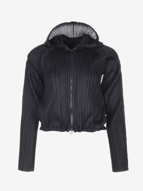 FINE PLEATS