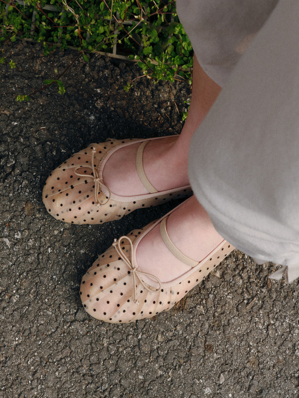Holly Sheer Mesh Ribbon Flat 4COLORS JLSO6E690BK